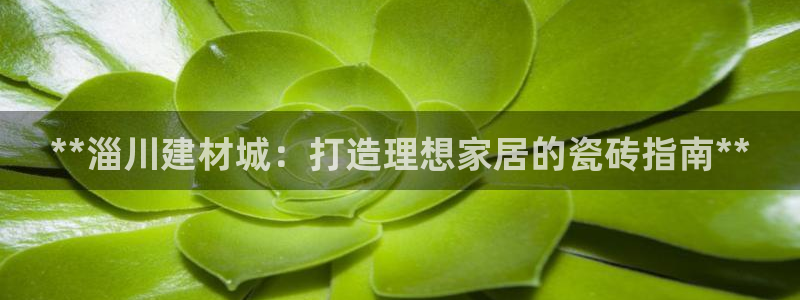 杏鑫平台登录注册