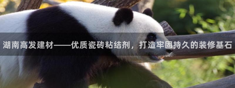 杏鑫平台注册入口在哪里找