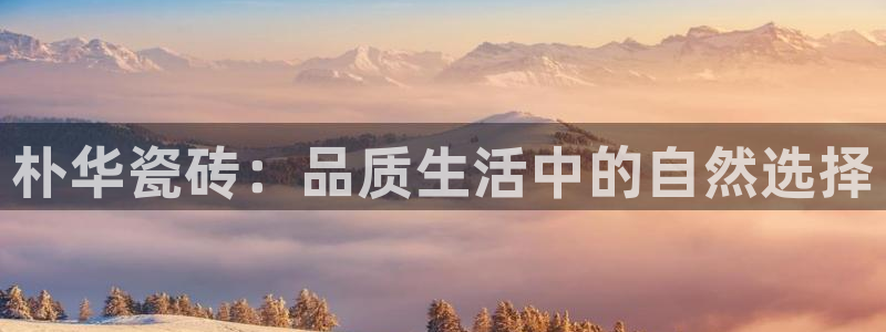 杏鑫娱乐怎么样