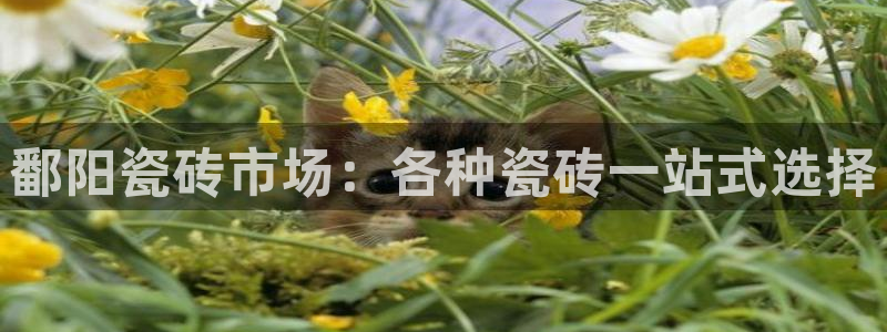 杏鑫平台注册登录