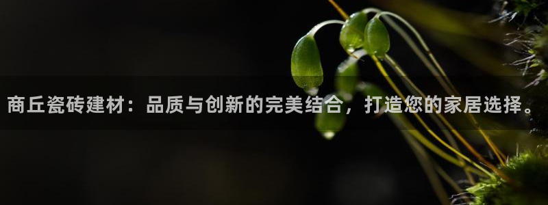 杏鑫平台在线注册怎么注册