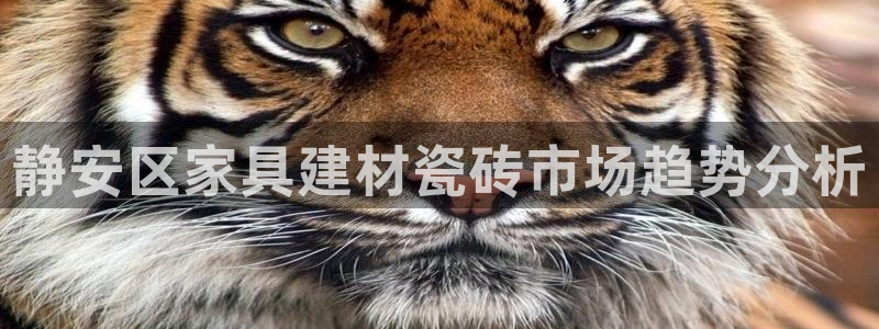 杏鑫平台在线注册流程