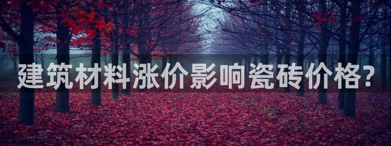 杏鑫平台代理注册多少钱啊