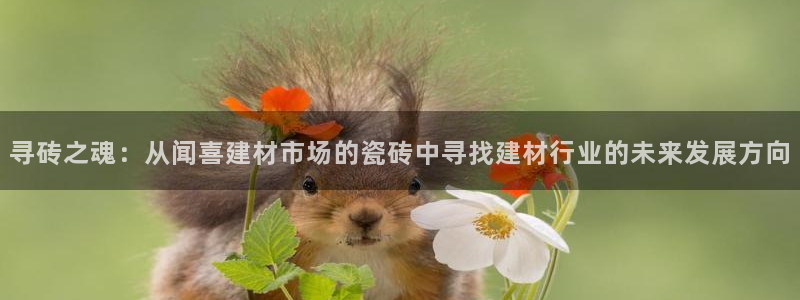 杏鑫平台注册登录