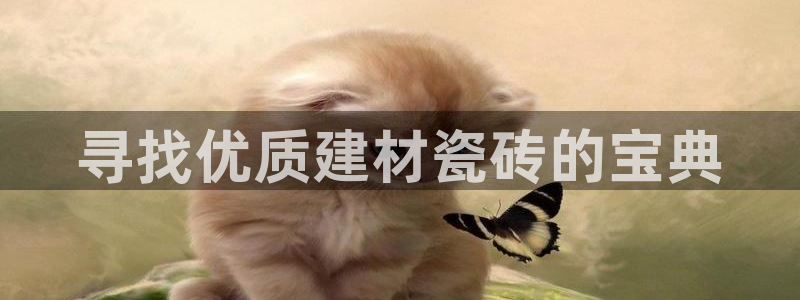 杏鑫平台代理注册多少钱一年