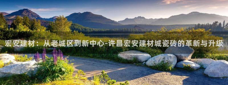 杏鑫注册平台官方网站是什么