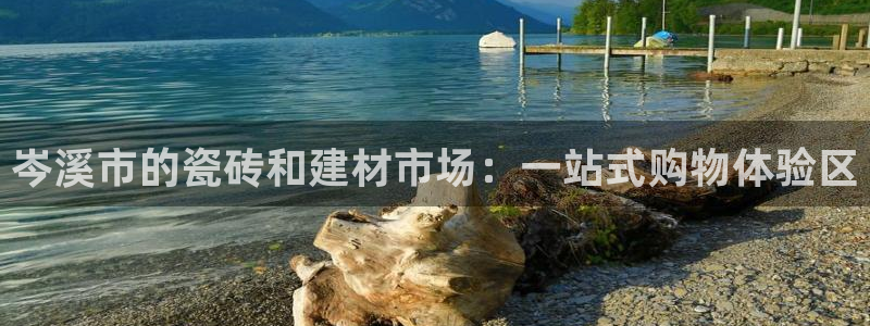 杏鑫平台登录地址