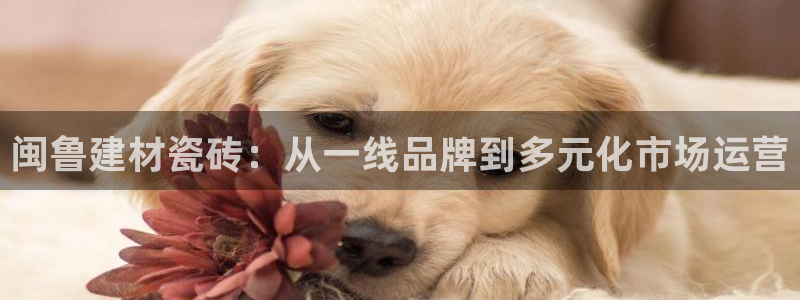 杏鑫平台招商电话是多少