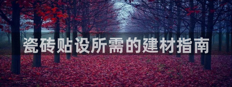 杏鑫平台代理注册流程视频