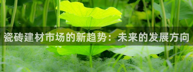 杏鑫官方平台怎么样可靠吗