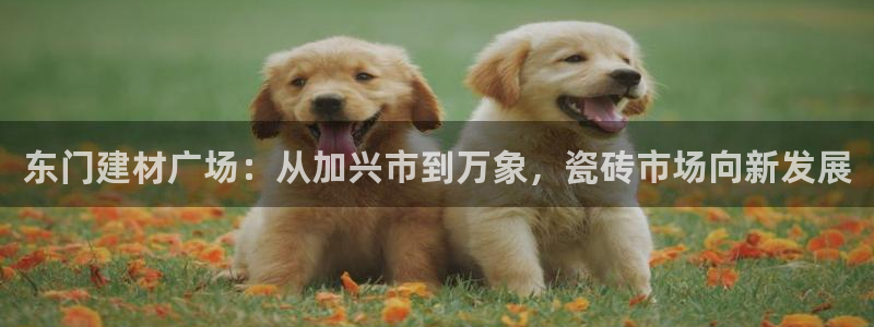 杏鑫平台代理怎么做赚钱