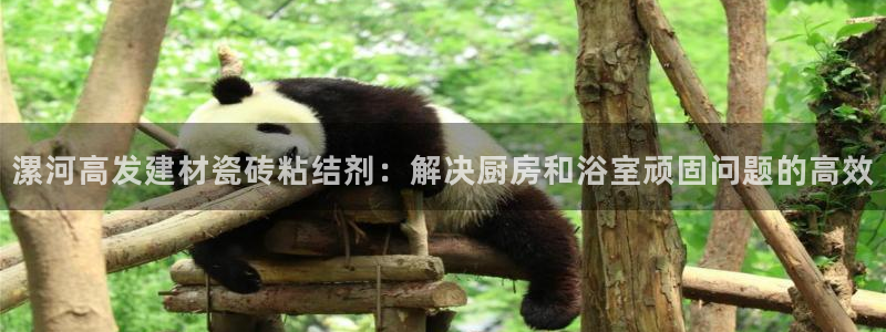 杏鑫平台怎么样黑钱吗安全吗是真的吗