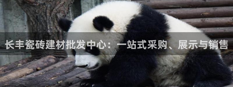 杏鑫平台代理怎么样赚钱